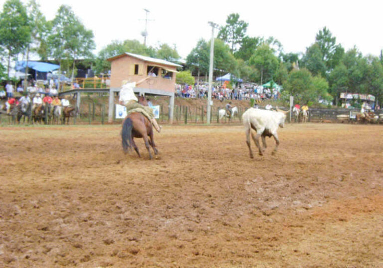 Rodeio Crioulo de Capitão teve 220 duplas de laçadores