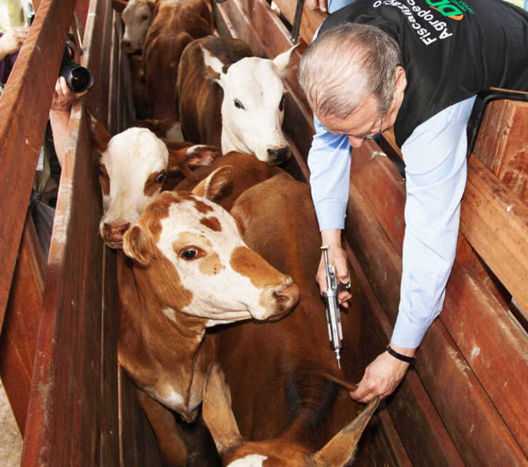 Vacinação supera meta estipulada pelo Estado