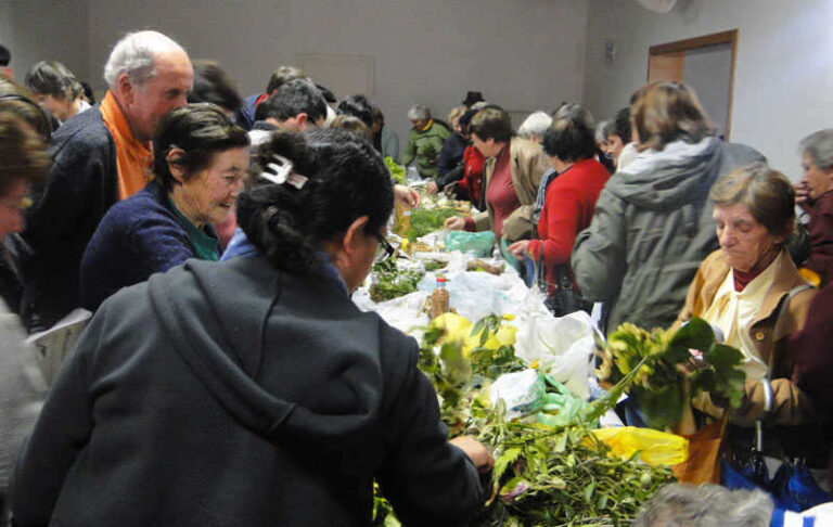 Interessados já podem se inscrever para o Encontro Diocesano de Sementes Crioulas