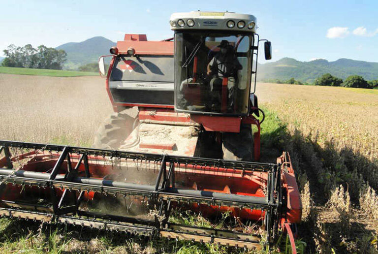 Safra de grãos atual atinge 208,8 milhões de toneladas