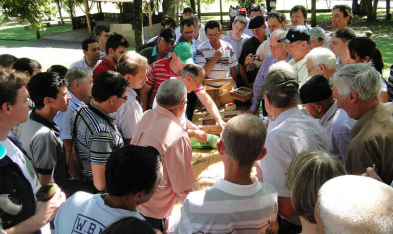 Seminário Regional de Meliponicultura ocorre no PA-Rural neste sábado