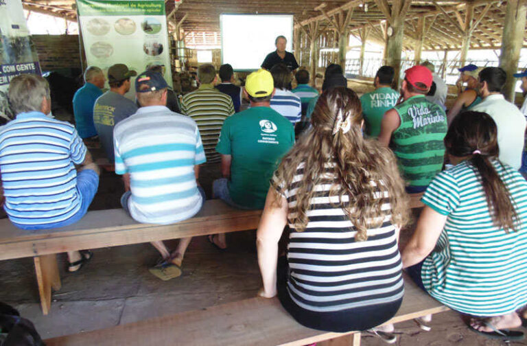 Tarde de campo aborda técnicas e manejo de silagem