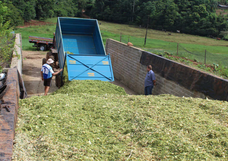 Silos trincheira geram economia aos produtores
