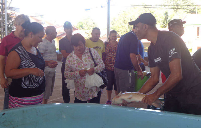 Feira da Semana Santa disponibiliza quatro toneladas de peixe vivo