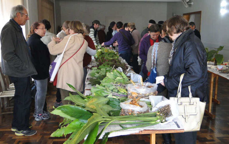 Encontro debate a qualidade nutricional dos orgânicos