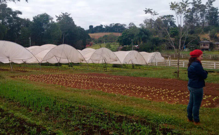 Horta com produção orgânica