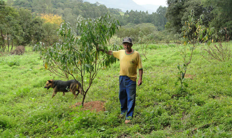 Sete famílias recebem a Declaração de Cadastro de Agricultor Familiar Orgânico