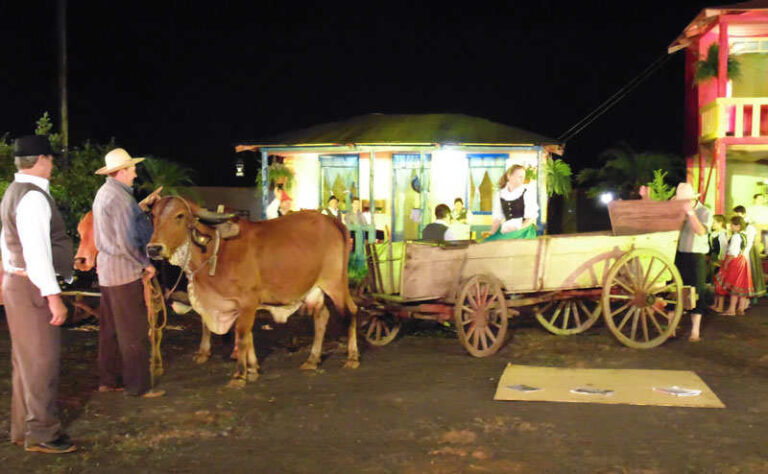 Festa do Natal em Família
