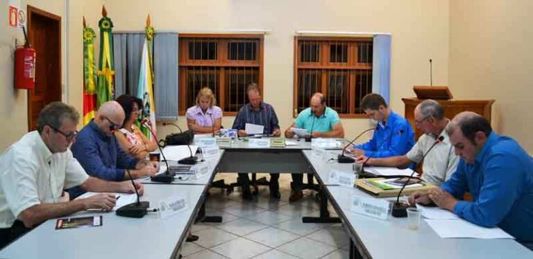 Vereadores iniciam atualização da Lei Orgânica