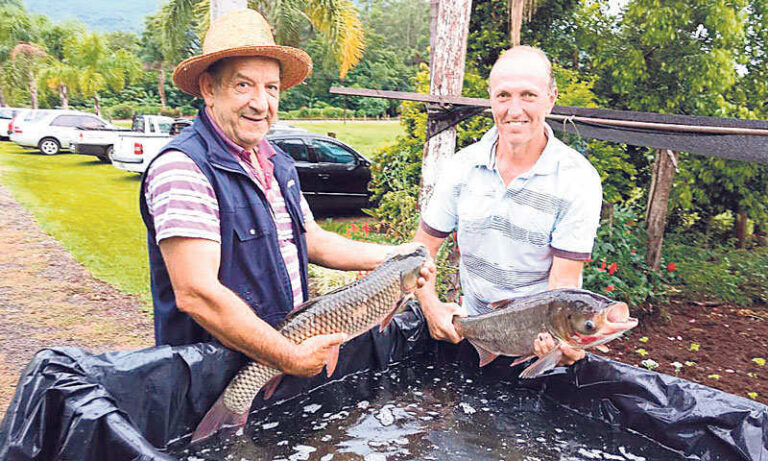 Sábado tem feira de peixe em Palmas