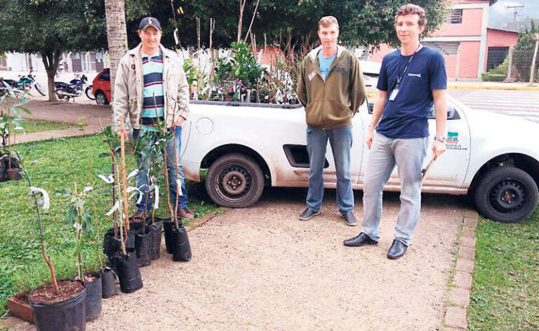 Entrega de mudas frutíferas em Travesseiro