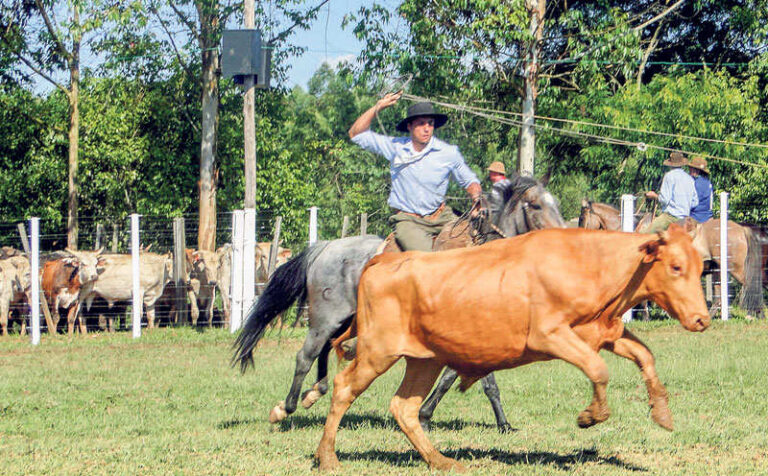 CTG Capitão Ribeiro inicia 14º Rodeio com muitas atrações