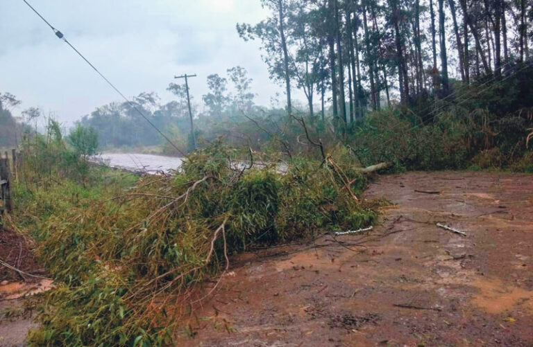 Defesa Civil alerta para chuvas torrenciais neste fim de semana