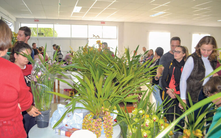 Marques promove exposição de orquídeas e feira de artesanato