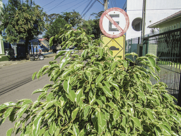 Falta de sinalização preocupa moradores e motoristas