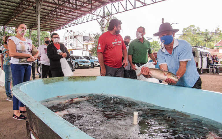 Abatedouro móvel de peixes fica pronto neste mês