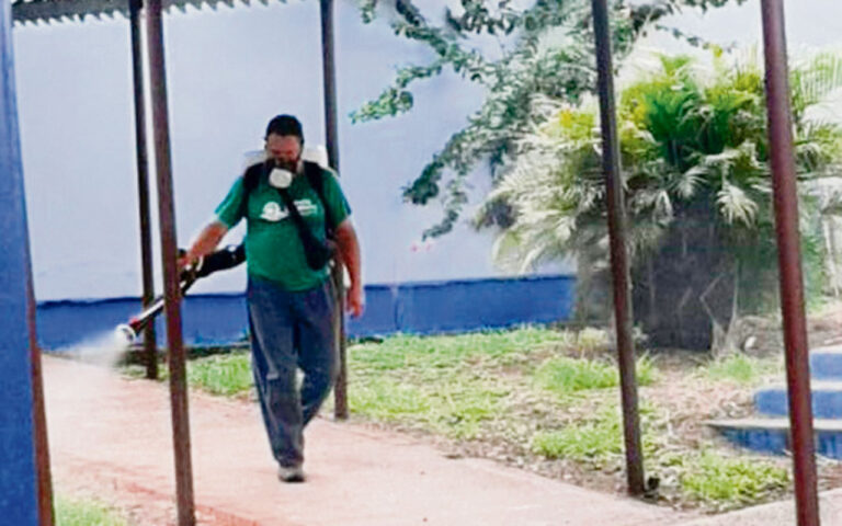Município inicia ação de bloqueio e combate ao mosquito Aedes aegypti