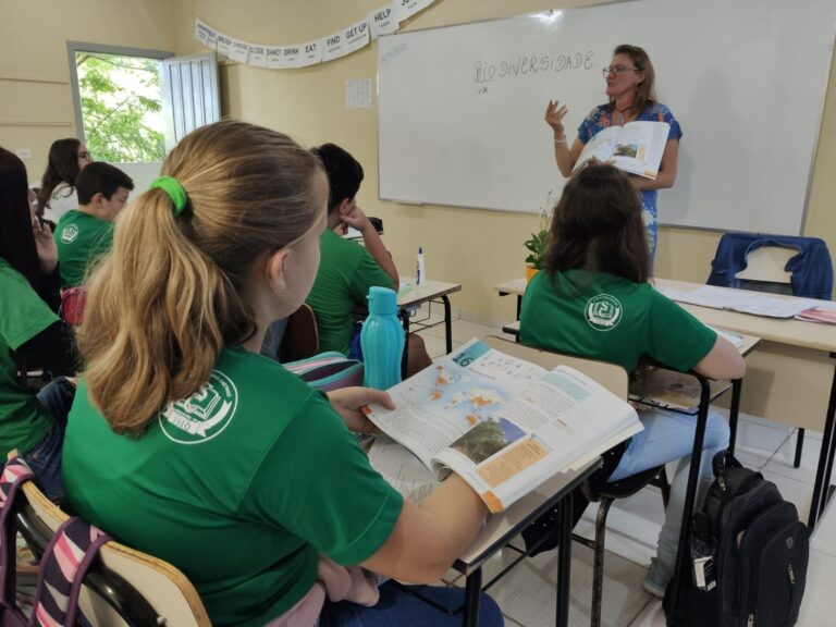 Mesmo era da tecnologia, livro didático é crucial para alunos aprenderem a pesquisar de forma eficaz