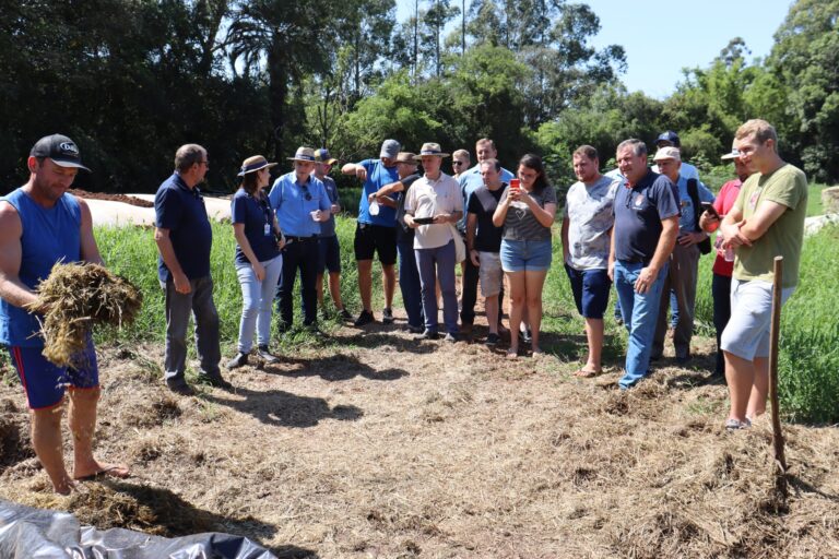 Silagem, feno e pastagens: encerram nesta sexta, inscrições para adquirir sementes