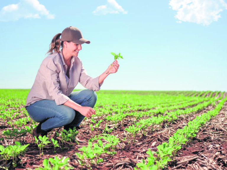 Sicredi Região dos Vales disponibiliza recursos do Plano Safra 2023/2024