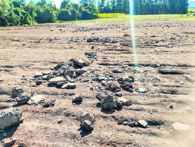 Mais de R$ 2 bilhões em prejuízos em 3 mil propriedades com a enchente