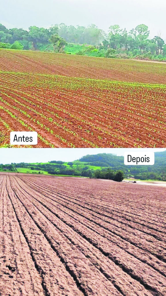 Secretaria da Agricultura divulga programa de recuperação do solo