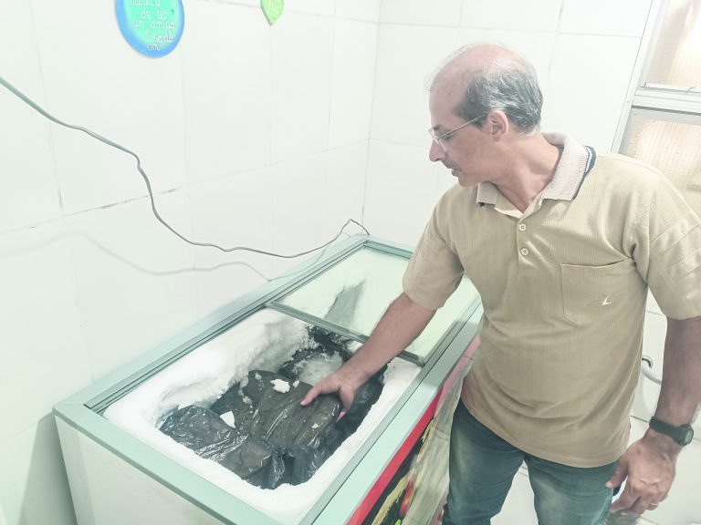 Restauração dos documentos históricos na Casa do Museu