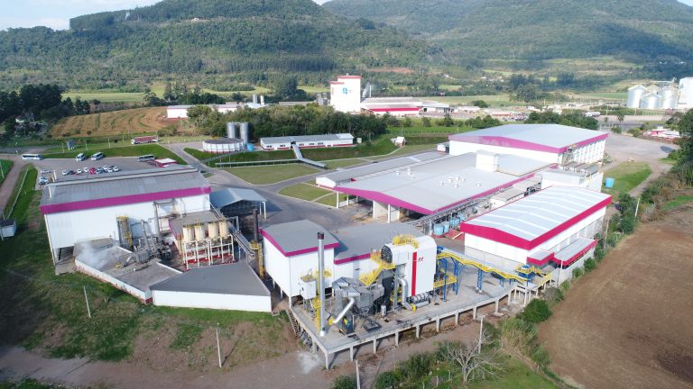 Cinco anos de abate: como a Dália superou as adversidades na avicultura e se consolidou em um novo mercado?