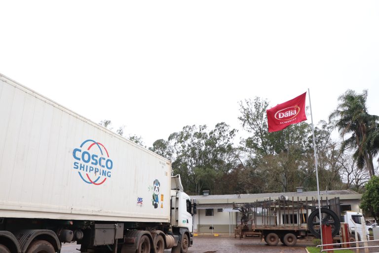 Dália acompanha o crescimento de exportações de carne suína no Brasil e fecha 2024 com aumento significativo