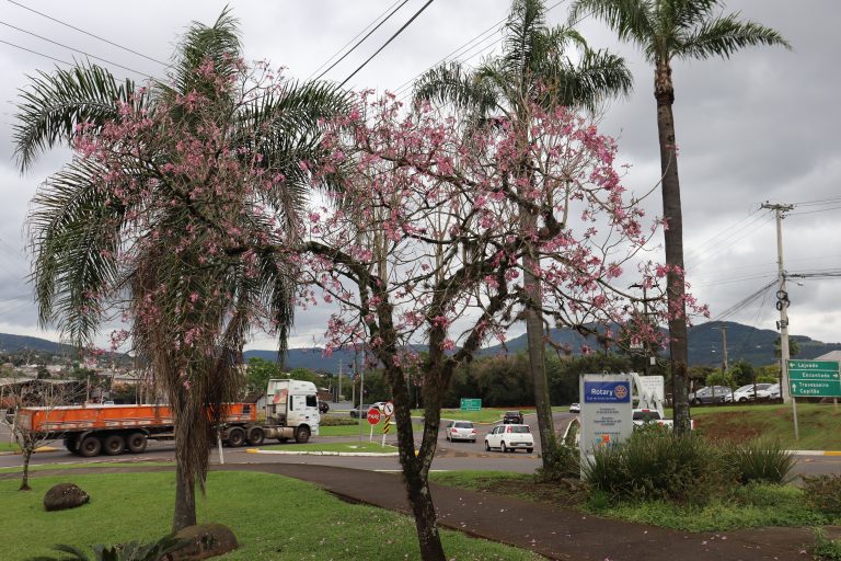 Chuvas acima da média marcam início da primavera 2025