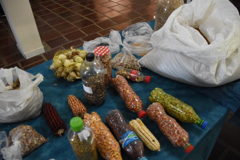 Travesseiro promove o 4º Encontro de Sementes Crioulas